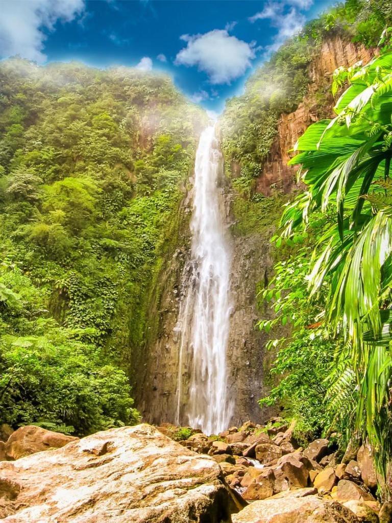 River Paradise Goyave Bagian luar foto