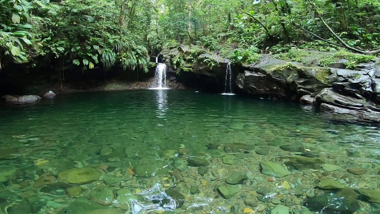 River Paradise Goyave Bagian luar foto