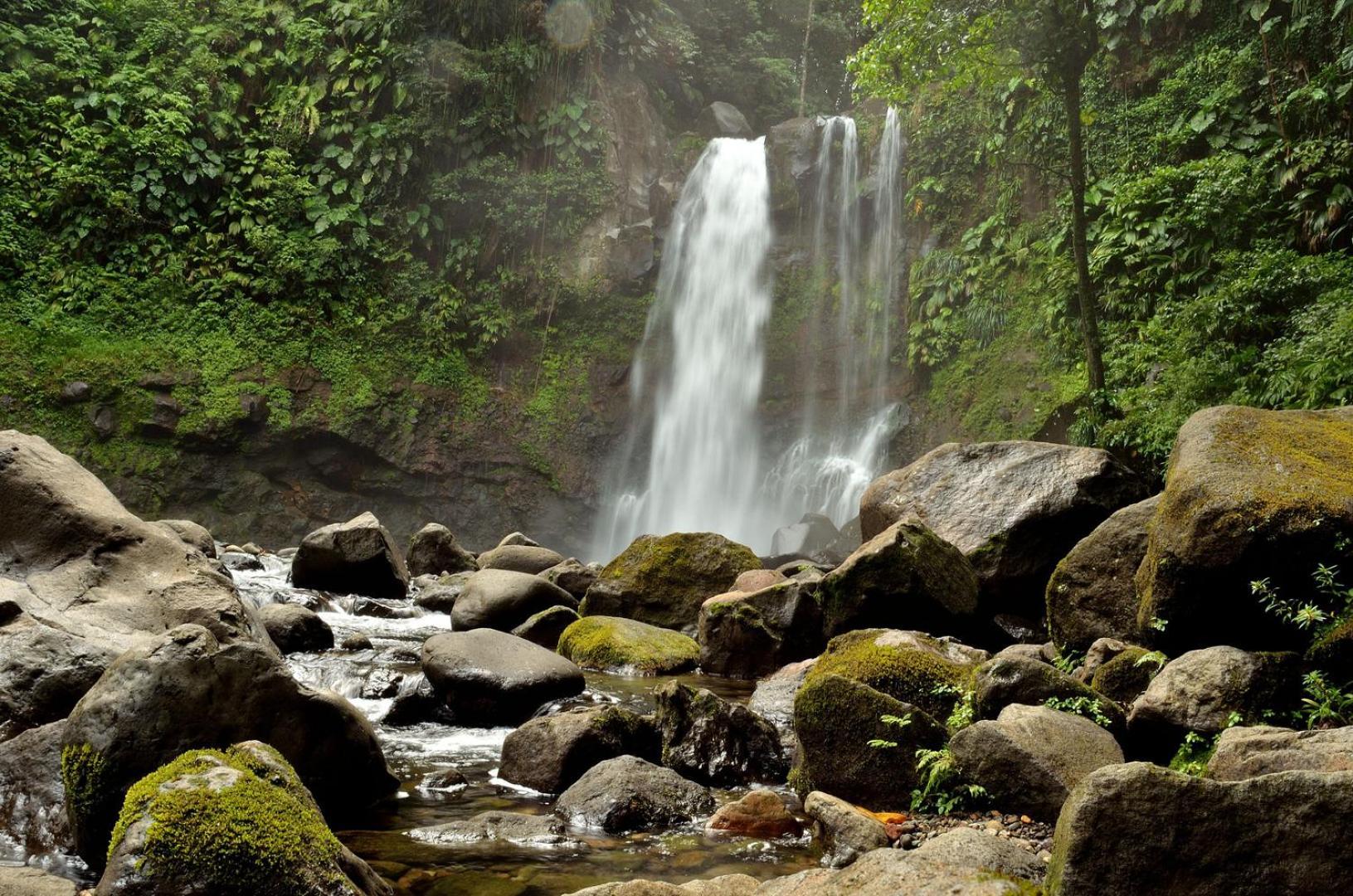 River Paradise Goyave Bagian luar foto