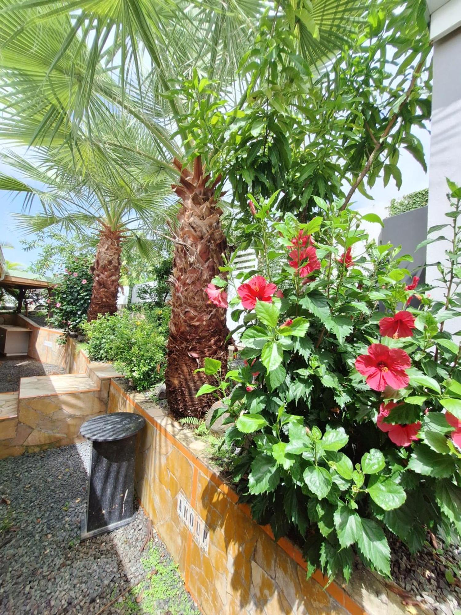 River Paradise Goyave Bagian luar foto
